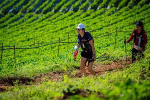 BIB: 
                            <button type="button" onclick="openModal(19161567)" class="btn btn-primary btn-sm float-right btn-popup" data-toggle="modal" data-target=".modal-high-quality">
                        <i class="fas fa-shopping-cart"></i> Add to Cart
                    </button>
                                            <button type="button" onclick="isThisMe(19161567, true)" class="btn btn-success btn-sm float-right btn-popup btn-isme hidden" data-toggle="tooltip" data-placement="bottom" title="นี่คือรูปของคุณใช่ไหม คลิกที่นี่เพื่อเอาเข้าอัลบั้ม">
                        <i class="fas fa-plus"></i> Add to album
                    </button>
                    <button type="button" onclick="isThisMe(19161567, false)" class="btn btn-warning btn-sm float-right btn-popup btn-isnotme hidden">
                        <i class="fas fa-ban"></i> Remove from album
                    </button>